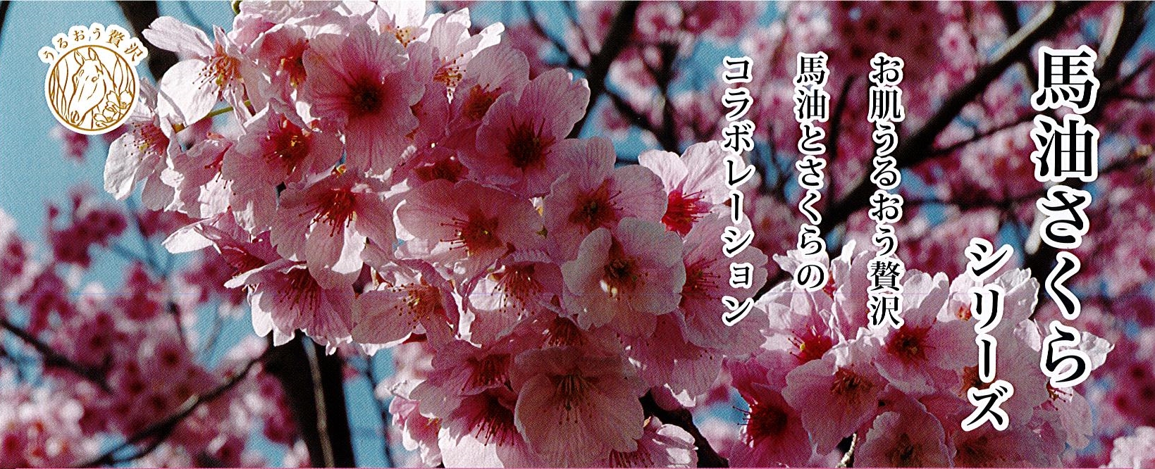 フェニックス 馬油さくらシャンプー | シンワアメニティ通販